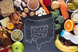 The Role of Fiber in Digestion